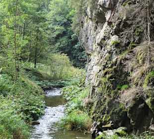 Wanderung durch die Steinachklamm