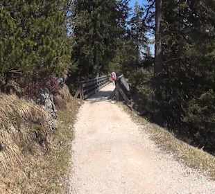 Weg zur Schlegelmulde