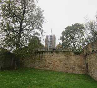 Ruine Wachtenburg