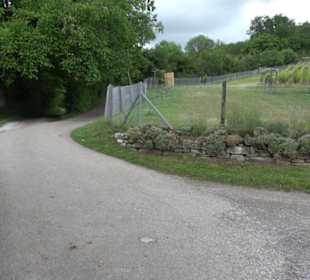 Wanderweg Märchensee Runde