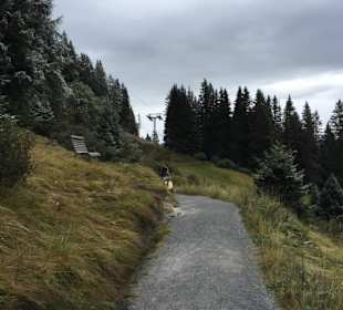 Wandern Serfaus