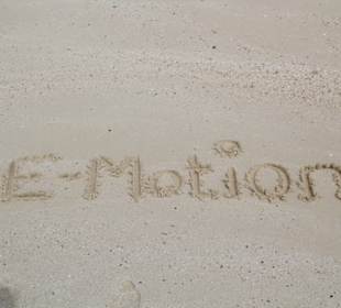 Schriftzug des Anieters