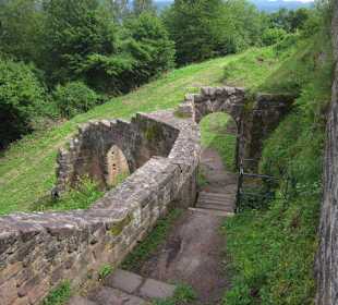 Die Wegelnburg