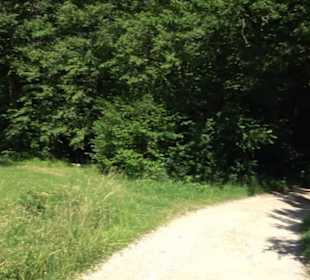 Waldinformationssystem „Lebendiger Wald“