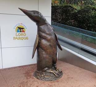 Eingangsbereich Aquarium