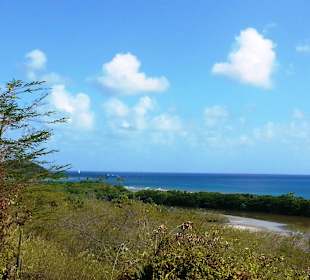 Blick auf das Meer von einem Aussichtspunkt