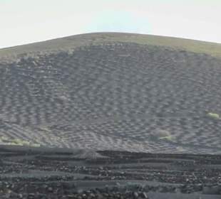 La Geria