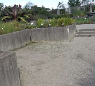 Botanischer Garten München