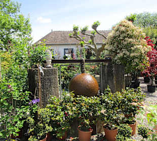 Peterhof-Pflanzen in Hanhofen