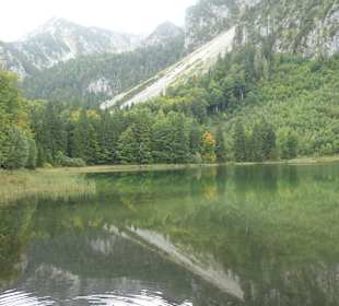 Beim Frillensee am Bergwald-Erlebnispfad