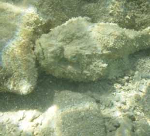 Hotel Prima Life Makadi Bay