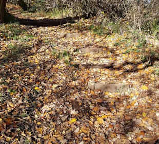 Tolle Herbstlandschaft