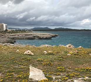 Strandpromenade 