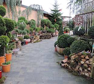 Kittenberger Erlebnisgarten