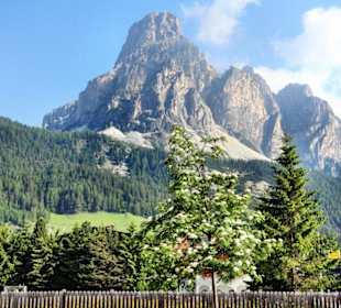 Blick auf den Sassongher