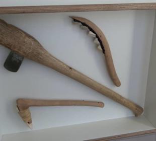 Archäologisches Museum 