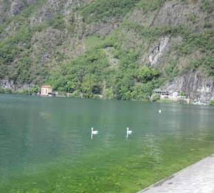 Am Hafen von Porlezza