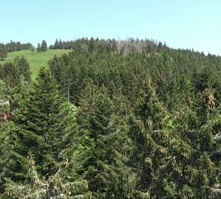 Naturparkzentrum Ruhestein