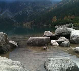 Morskie Oko
