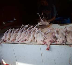 Truck Safari - Markt in Higüey