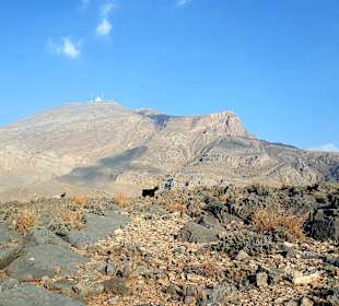 Ausflug Jebel Harim