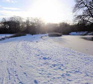 Winterspaziergang durch den Bürgerpark