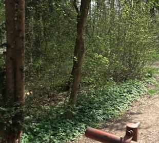 Grill- und Waldspielplatz am Waldlehrpfad