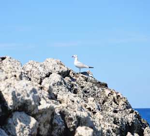 Cala de Sant Vicenç