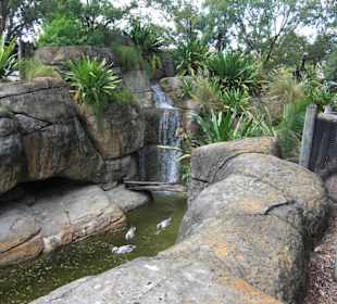 Parkanlage / wunscherschön angelegt Botanik