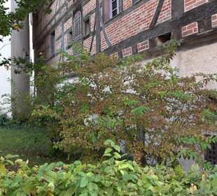 Geistliches Zentrum Kloster Heiligkreuztal Altheim