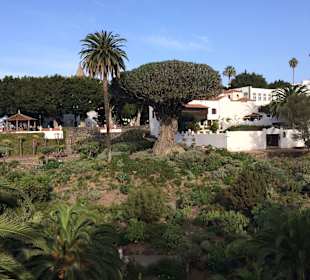 Parque del Drago