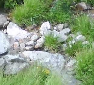 Tatrzański Park Narodowy