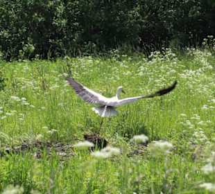 Landtour am Beldahnsee