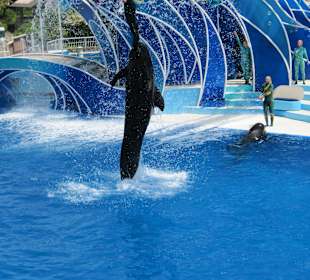 Seaworld