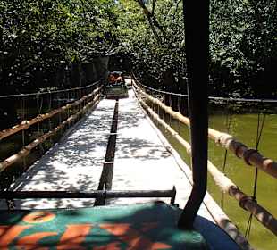 Amphibienfahrzeug auf Brücke