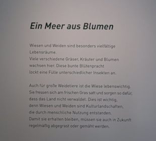 Museum Natur und Mensch