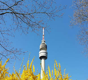 Frühling im Westfalenpark Dortmund