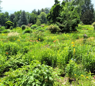 Riesig-zwischdurch Bänke