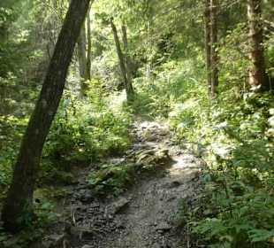 Wanderung Hochfall-Wasserfall
