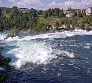 Blick auf den Rheinfall