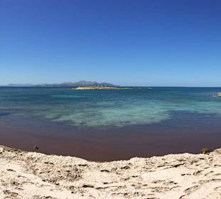 Gehört bald zum Standard mallorcinischer Strände