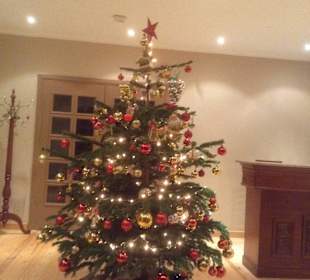 Weihnachtsdekoration 