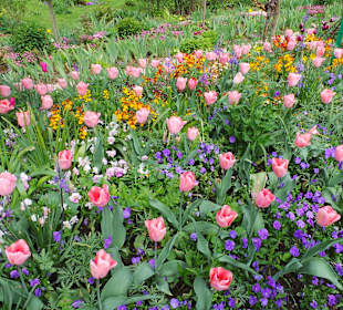 Blütenmeer in Monets Garten