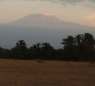 Kilimanjaro
