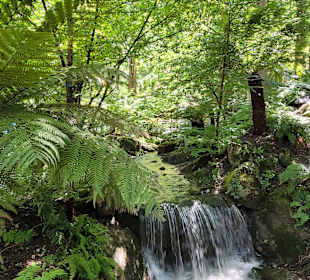 Die Gärten von Schloss Trauttmansdorff