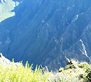 Colca-Canyon