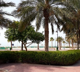 Al Budaiya Park