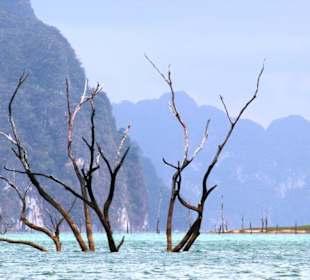Einmalige Landschaft am Cheow Lan Stause