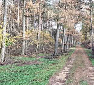 Pferderouten sind ausgeschildert