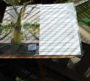 Botanischer Garten München